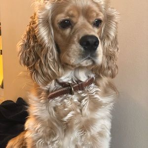 Meet your Posher, Veronica